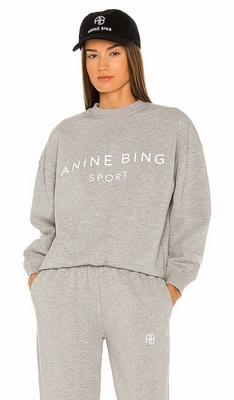 Light Grey Anine Bing Sport Evan Sweatshirt